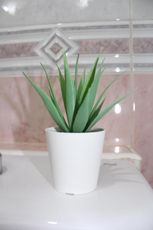 Nice And New Studio Very Close To The City Center 2ºa مالقة المظهر الخارجي الصورة